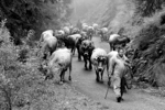 LA RICCHEZZA DI UN PAESE