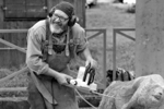 LA RICCHEZZA DI UN PAESE