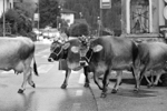 LA RICCHEZZA DI UN PAESE