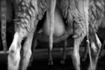 LA RICCHEZZA DI UN PAESE