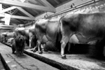 LA RICCHEZZA DI UN PAESE