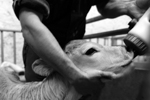 LA RICCHEZZA DI UN PAESE
