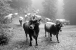 LA RICCHEZZA DI UN PAESE