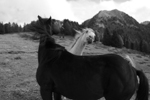 LA RICCHEZZA DI UN PAESE