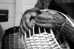 LA RICCHEZZA DI UN PAESE