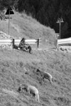 LA RICCHEZZA DI UN PAESE